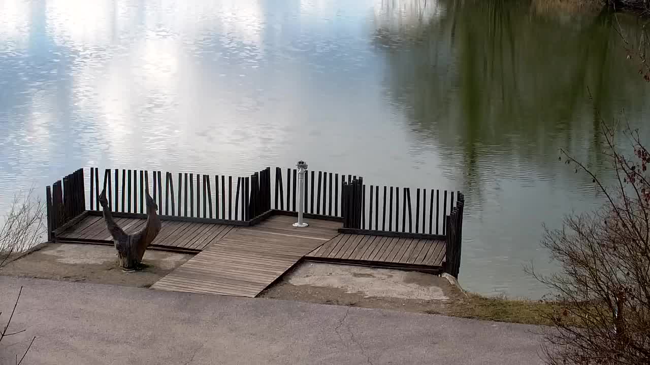 Webcam Ribnik Vrbje – Žalec