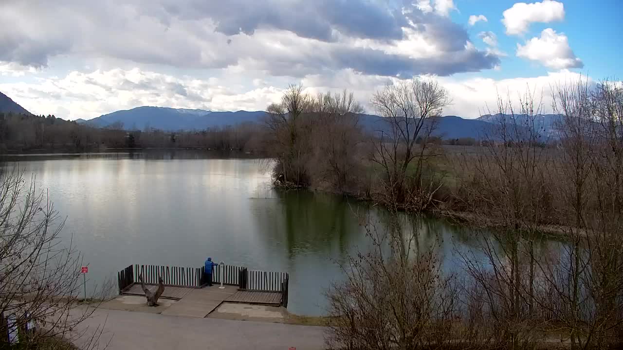 Webcam Ribnik Vrbje – Žalec