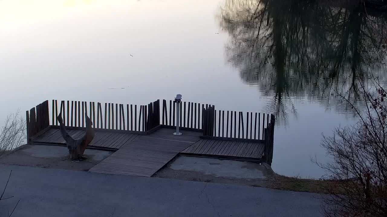 Web kamera Ribnik Vrbje – Žalec