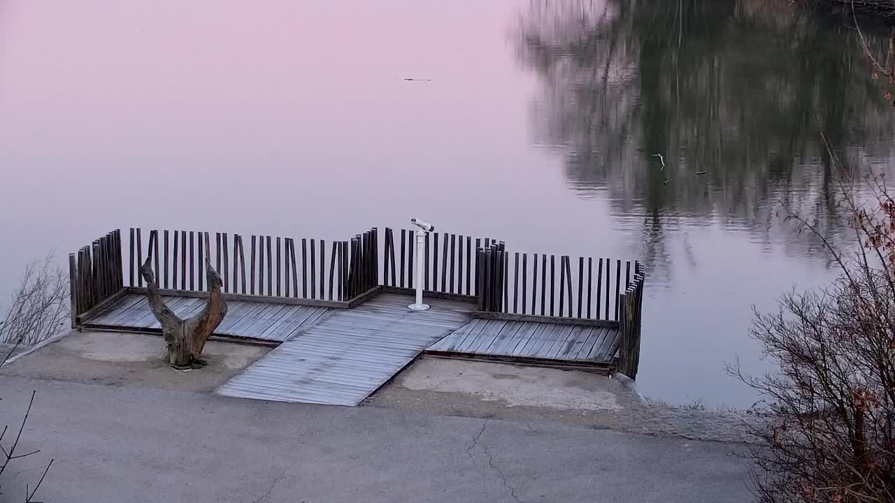 Webcam Ribnik Vrbje – Žalec