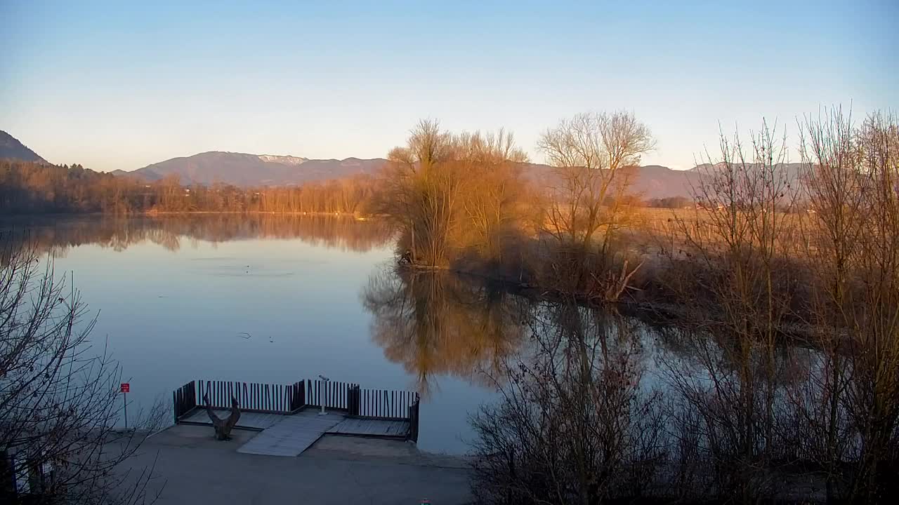 Webcam Ribnik Vrbje – Žalec