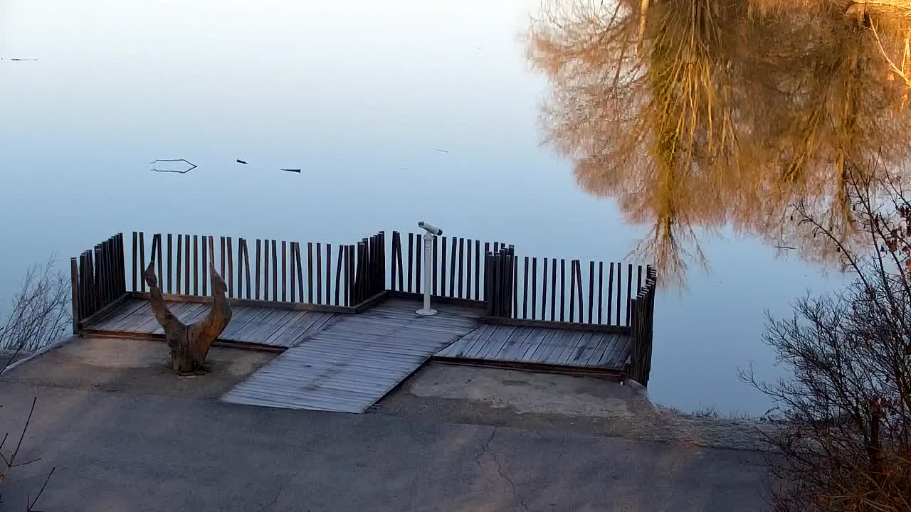 Spletna kamera Ribnik Vrbje – Žalec