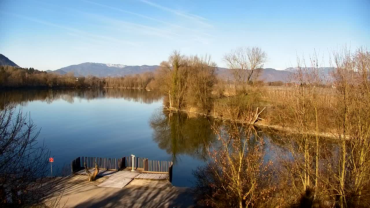 Webcam Ribnik Vrbje – Žalec