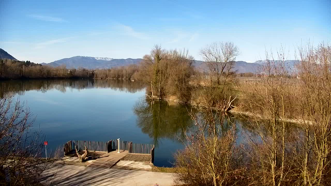 Webcam Ribnik Vrbje – Žalec