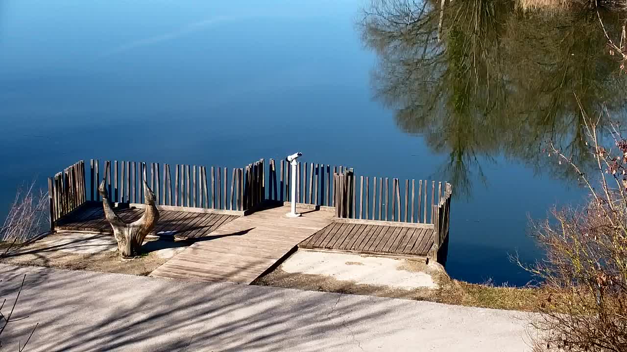 Webcam Ribnik Vrbje – Žalec