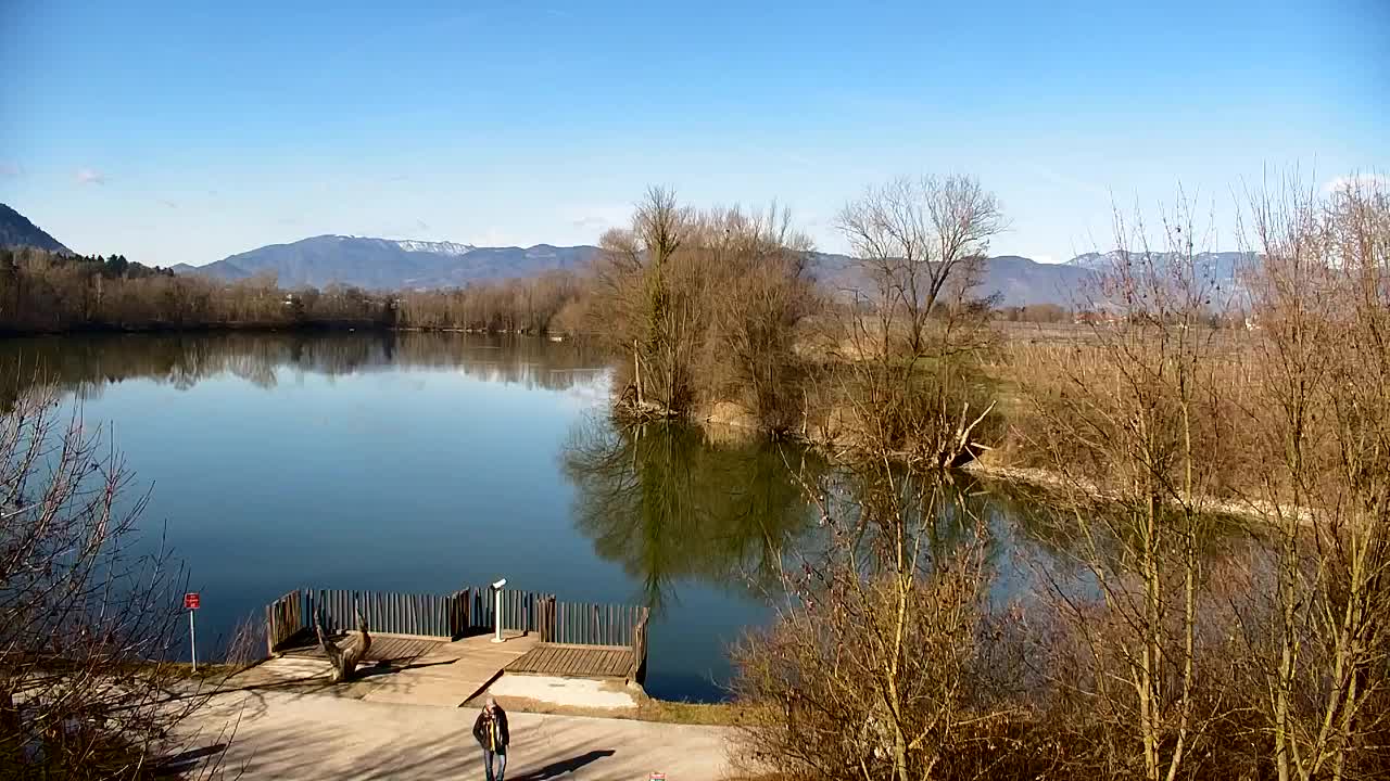 Webcam Ribnik Vrbje – Žalec