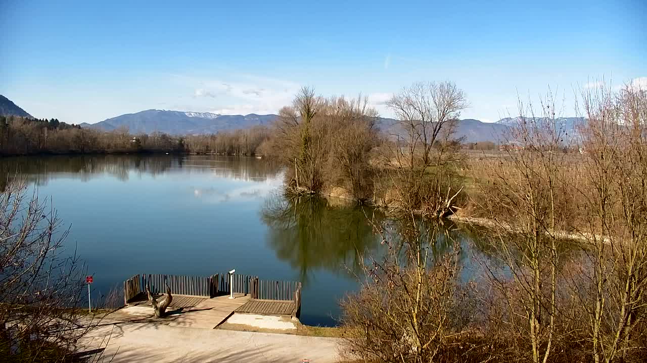 Webcam Ribnik Vrbje – Žalec