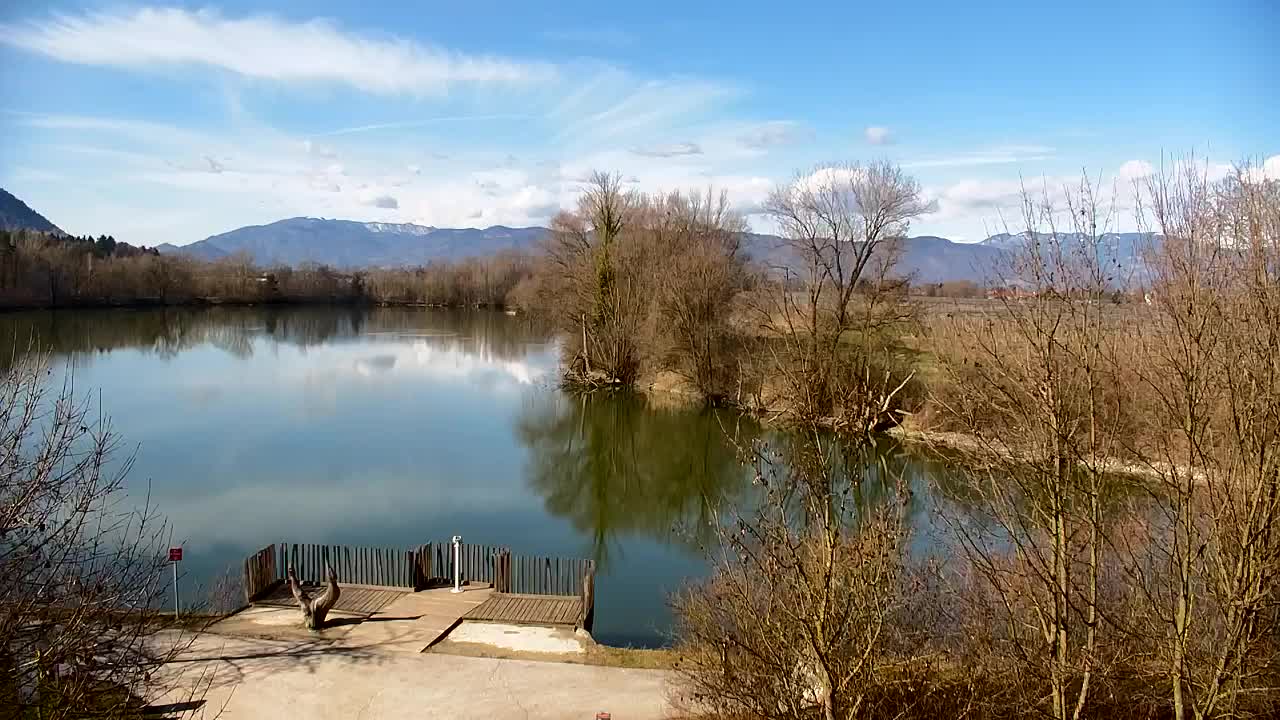 Webcam Ribnik Vrbje – Žalec