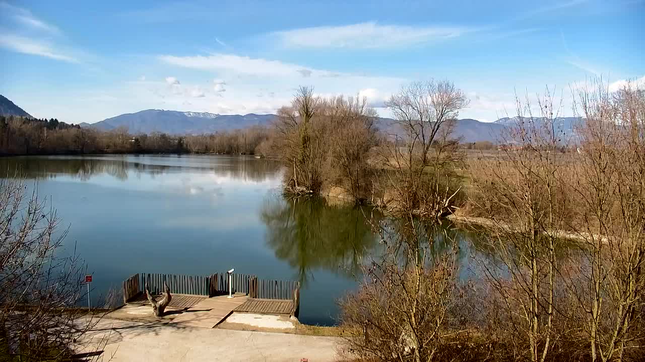 Webcam Ribnik Vrbje – Žalec