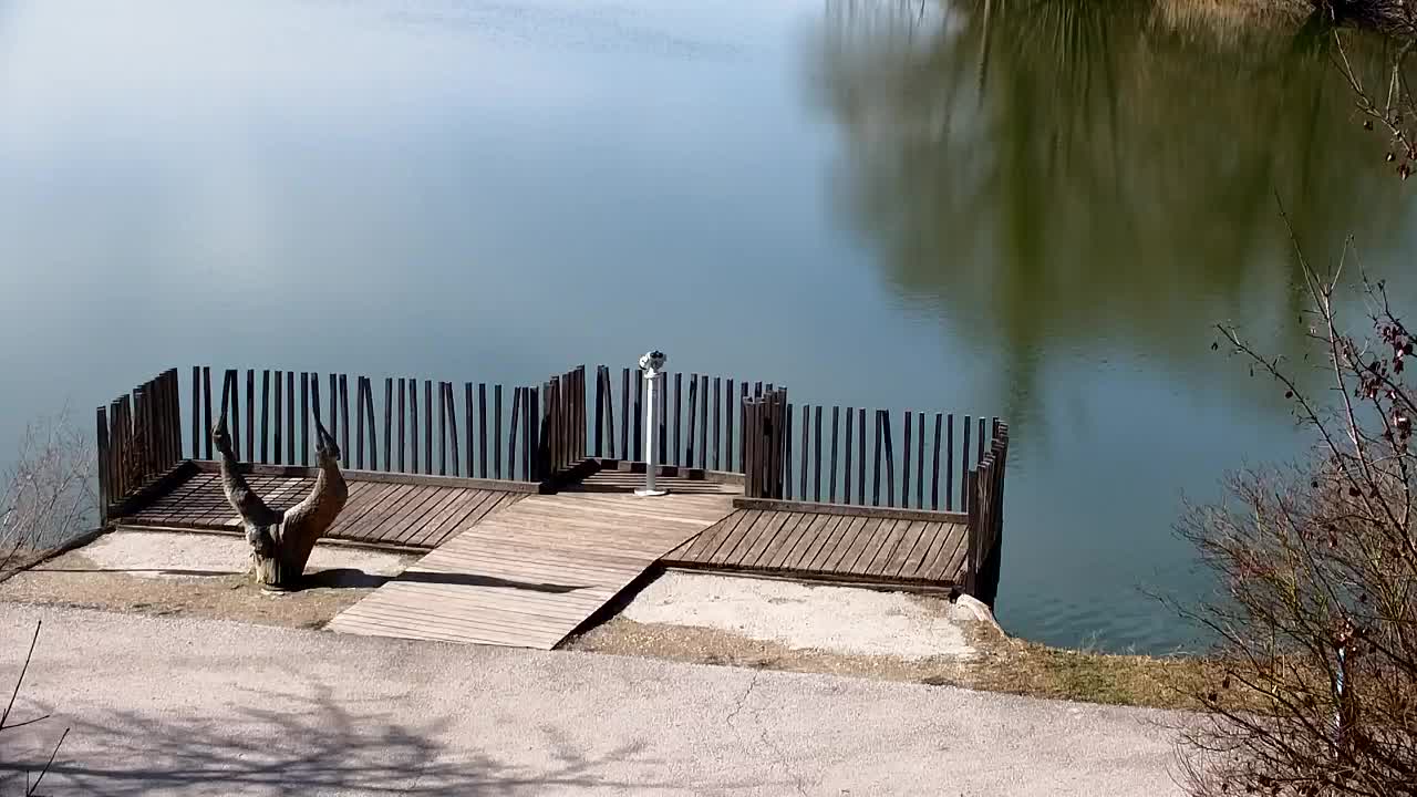 Webcam Ribnik Vrbje – Žalec