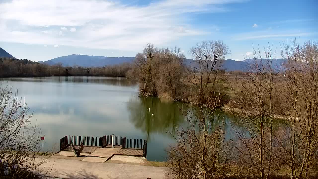 Webcam Ribnik Vrbje – Žalec