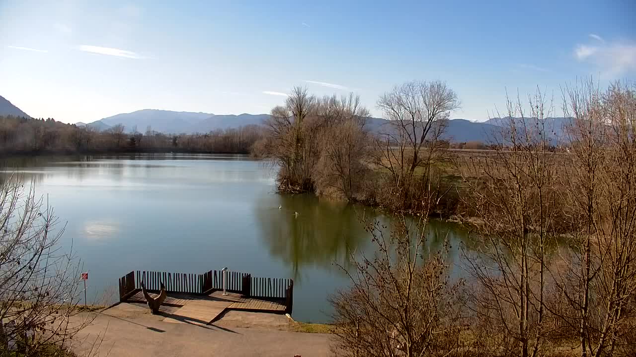 Webcam Ribnik Vrbje – Žalec