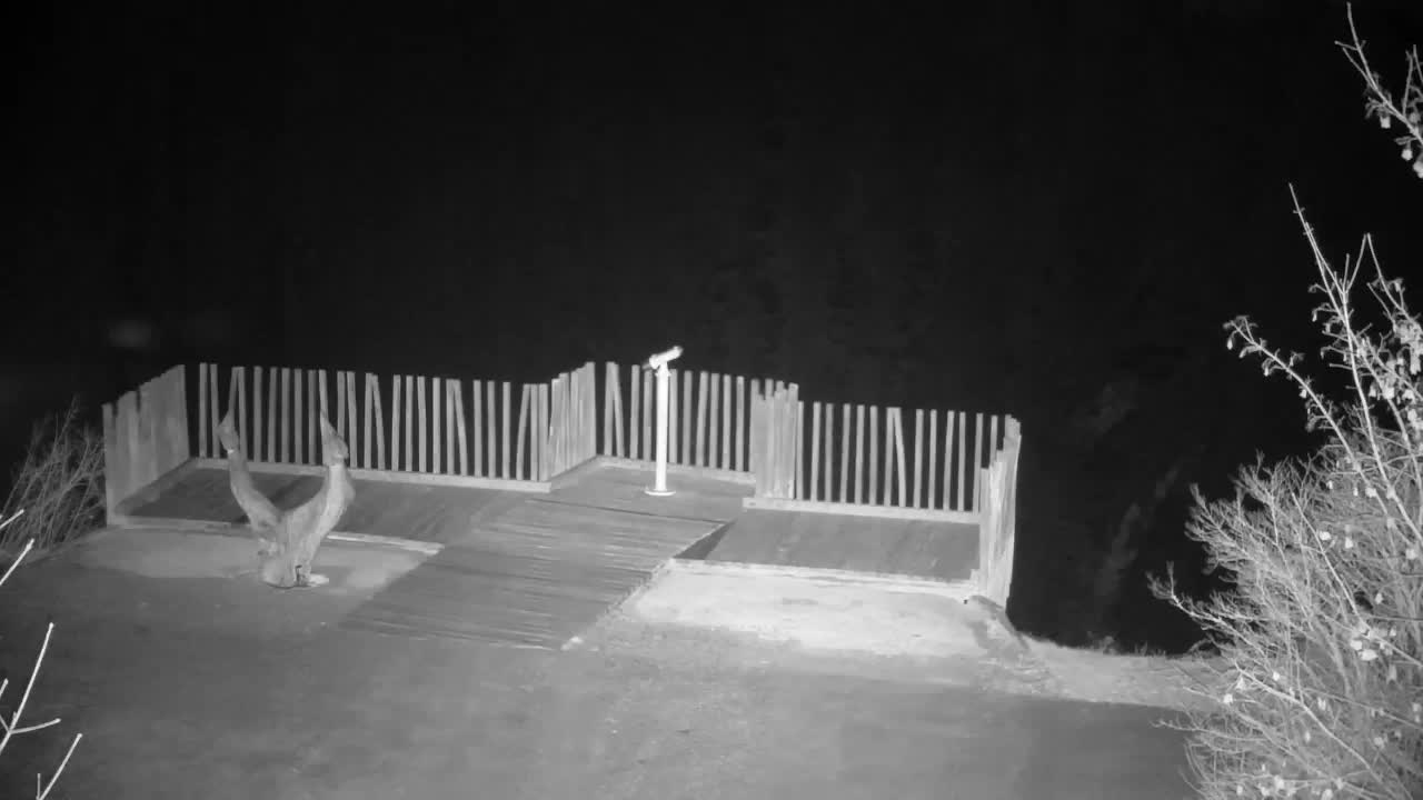 Webcam Ribnik Vrbje – Žalec