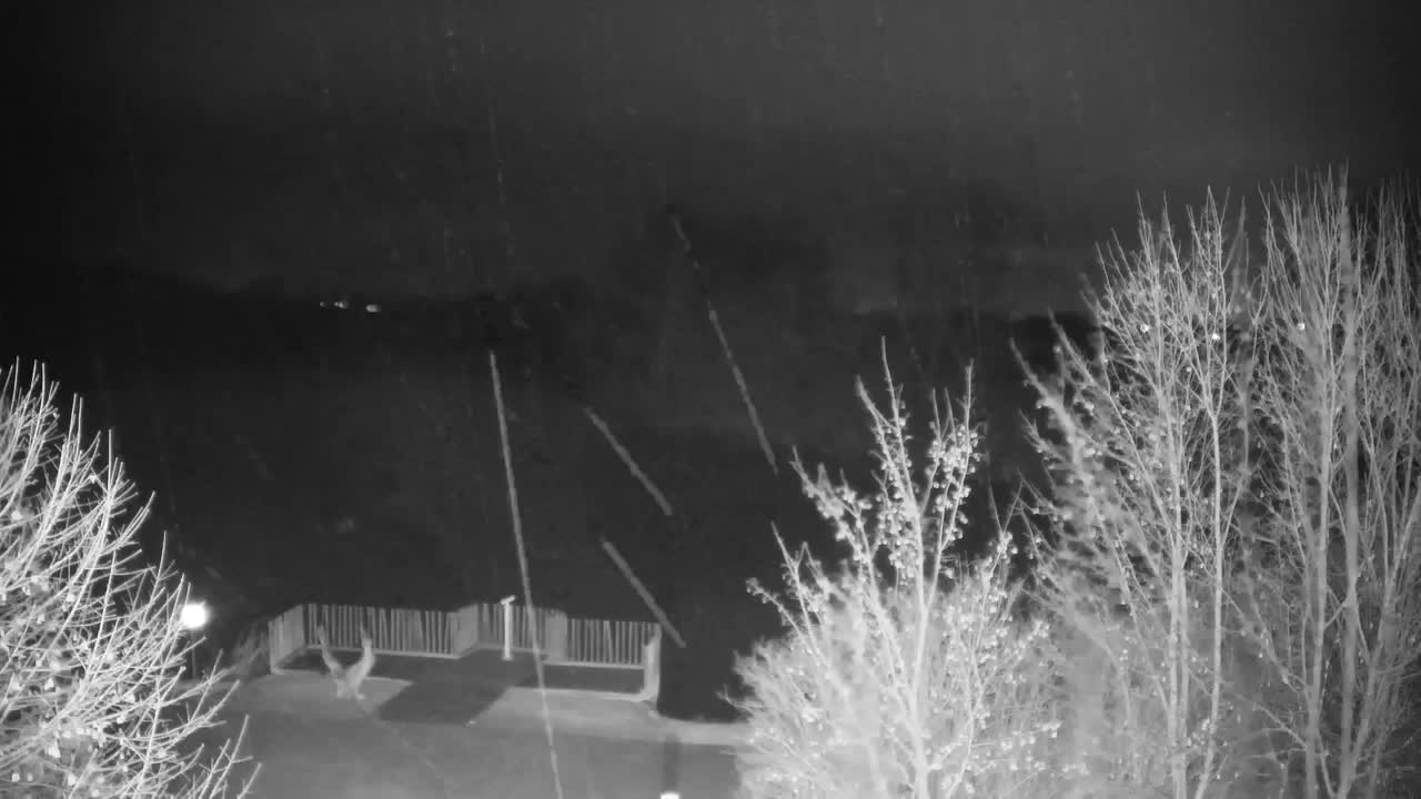 Webcam Ribnik Vrbje – Žalec