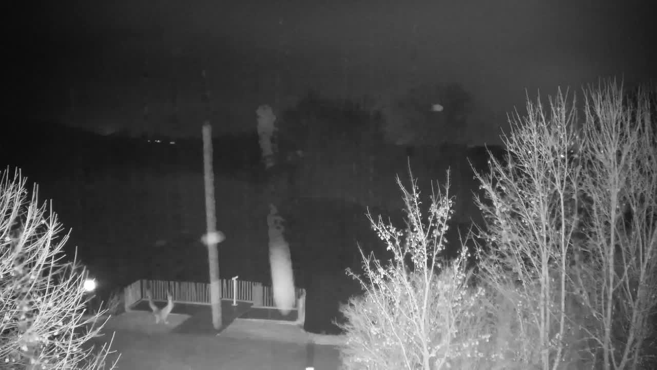 Webcam Ribnik Vrbje – Žalec