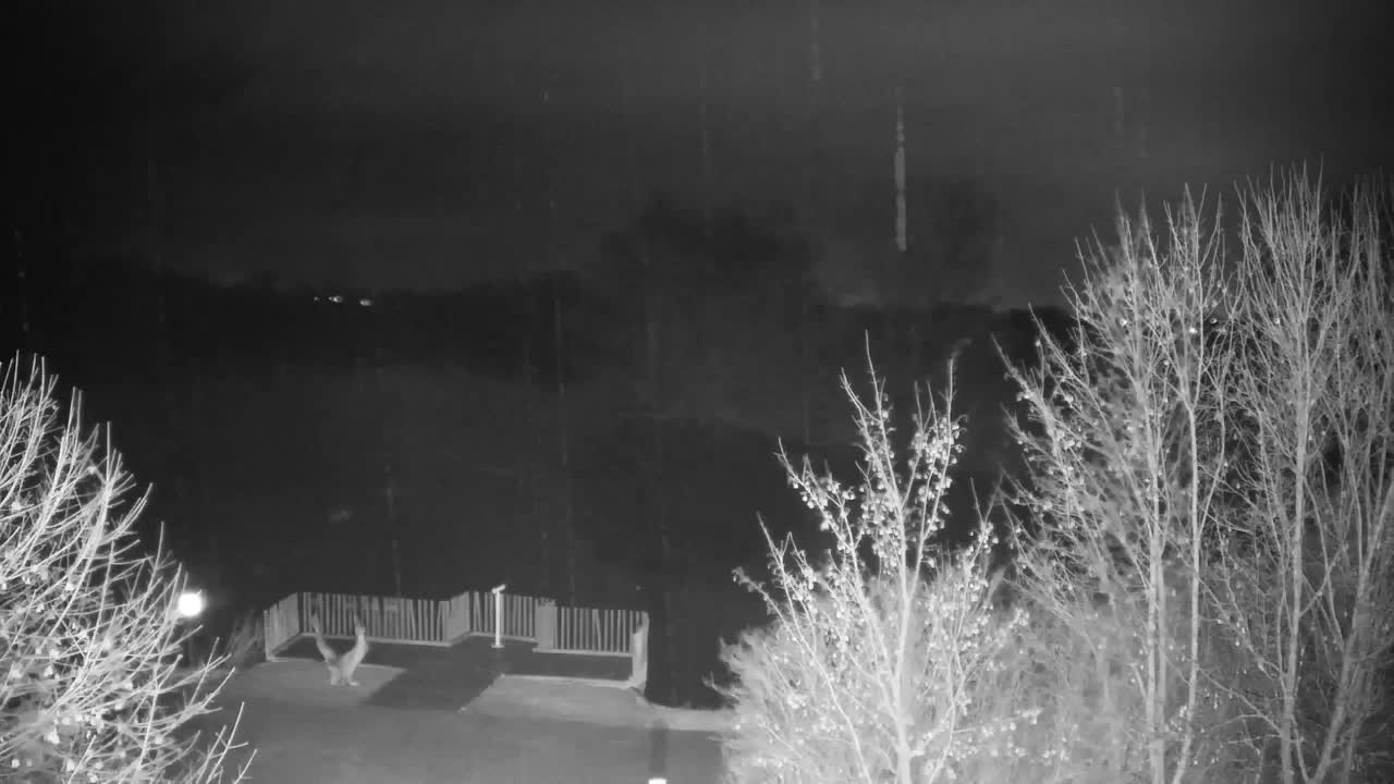 Webcam Ribnik Vrbje – Žalec