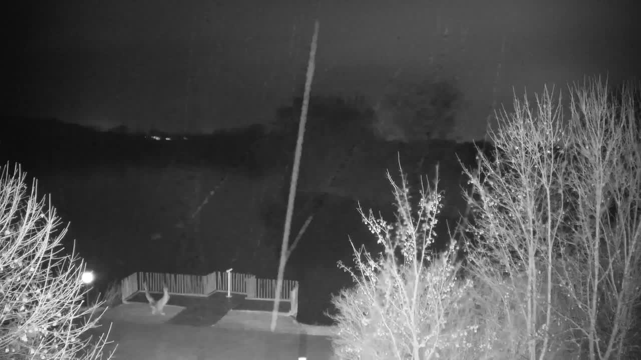 Webcam Ribnik Vrbje – Žalec