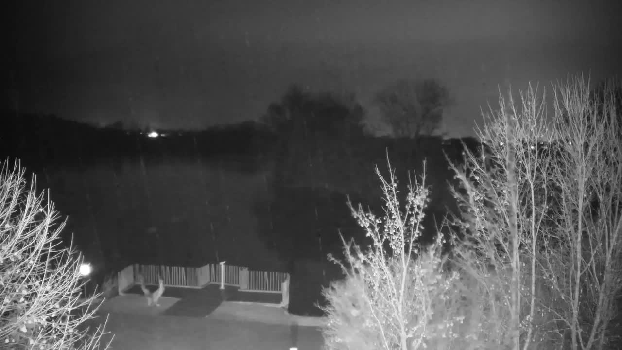 Webcam Ribnik Vrbje – Žalec