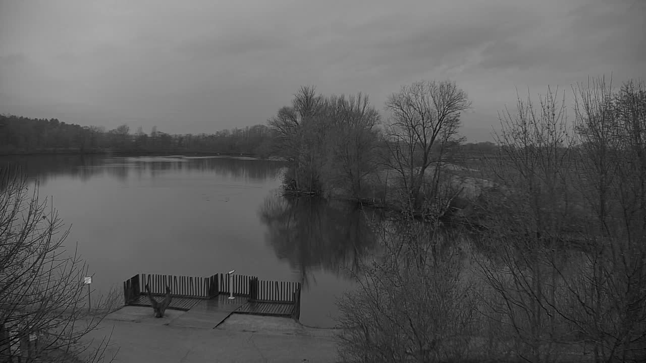 Webcam Ribnik Vrbje – Žalec