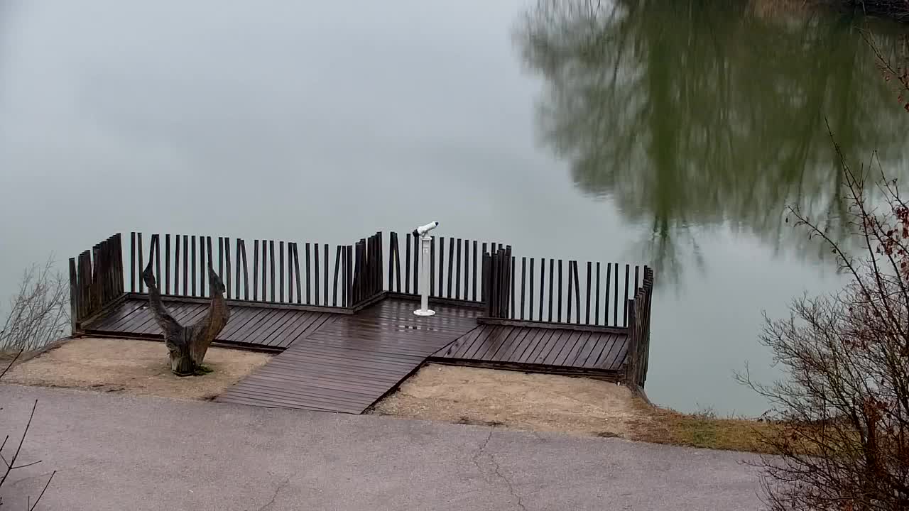 Webcam Ribnik Vrbje – Žalec