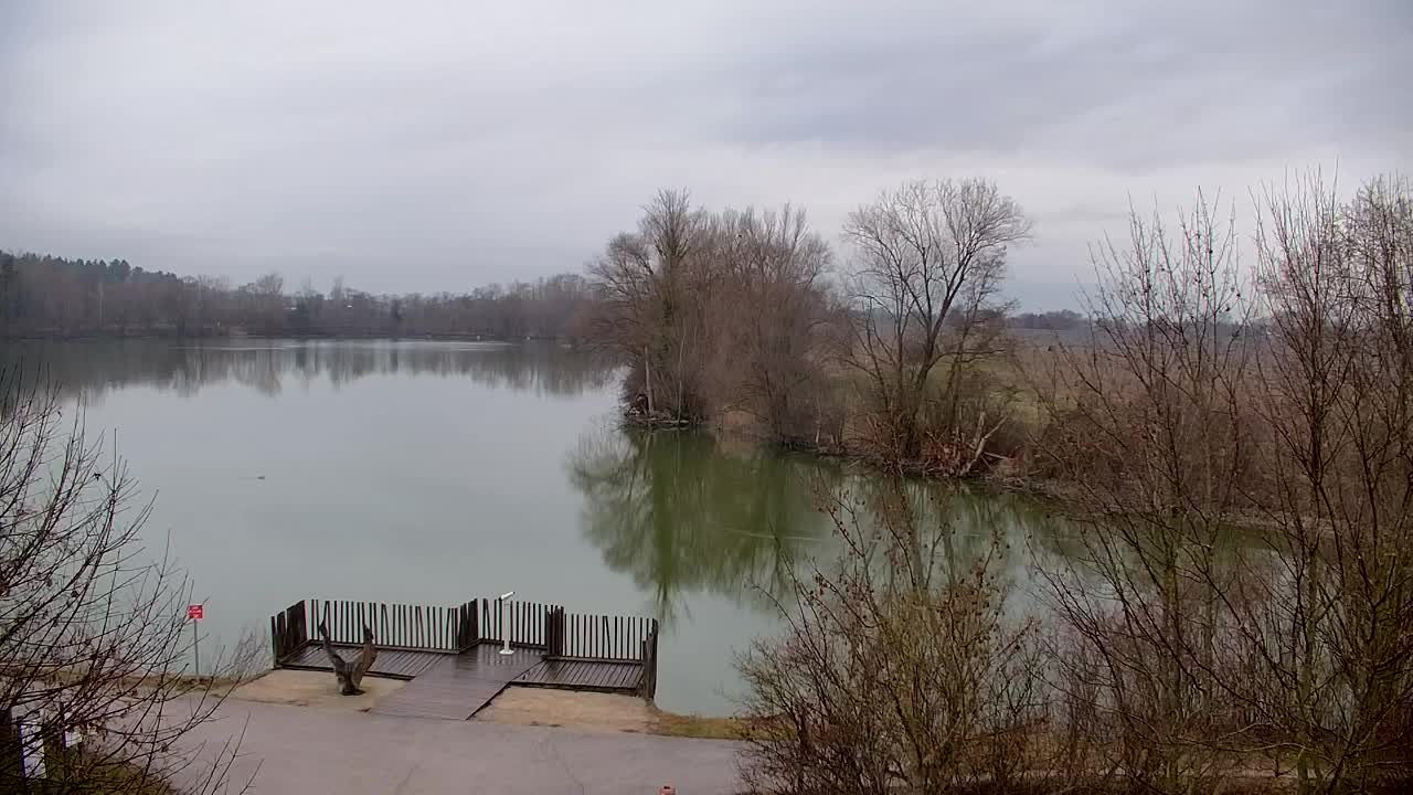 Webcam Ribnik Vrbje – Žalec