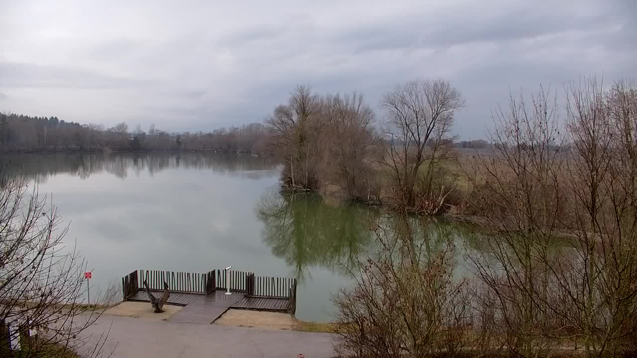 Webcam Ribnik Vrbje – Žalec