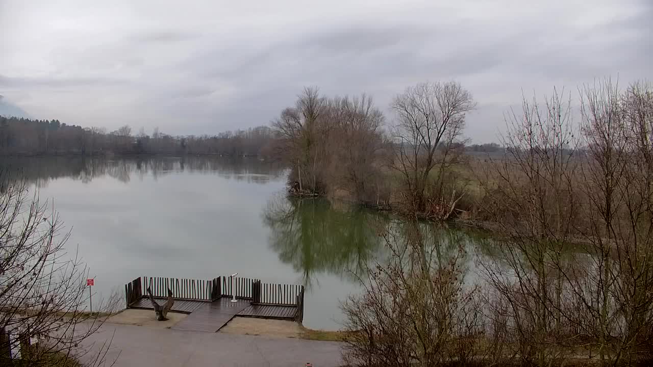 Webcam Ribnik Vrbje – Žalec