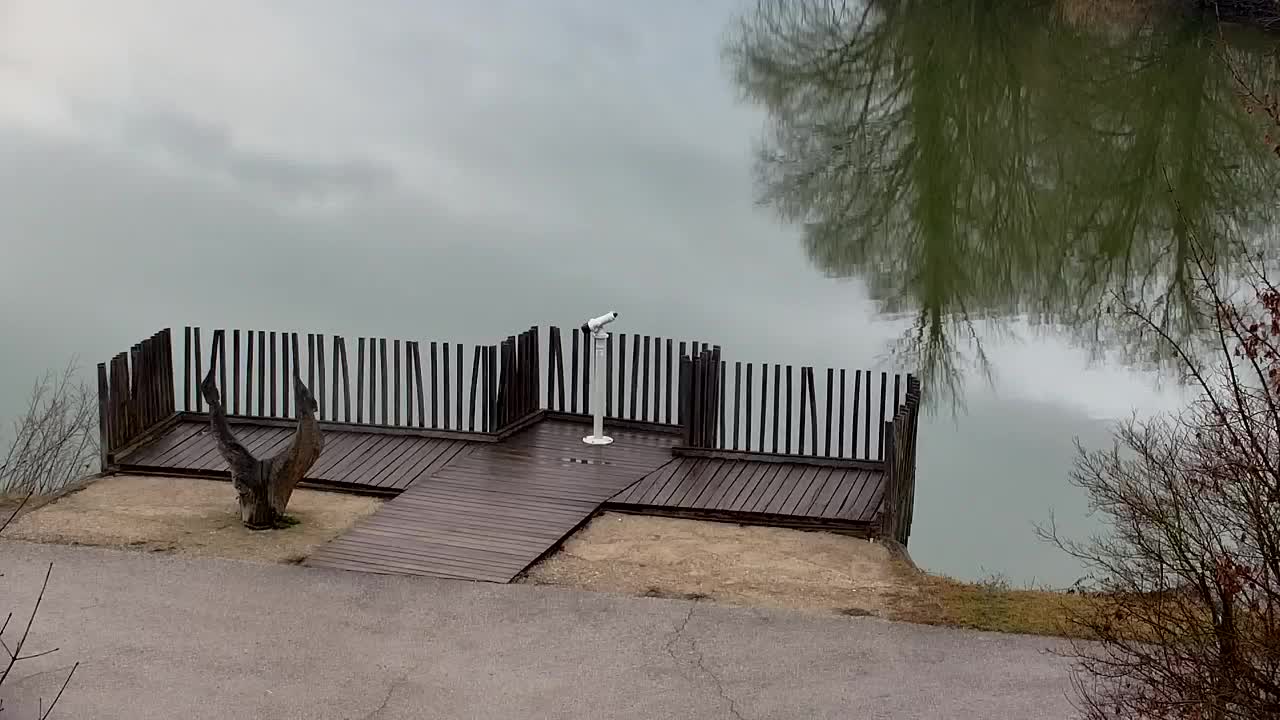 Webcam Ribnik Vrbje – Žalec