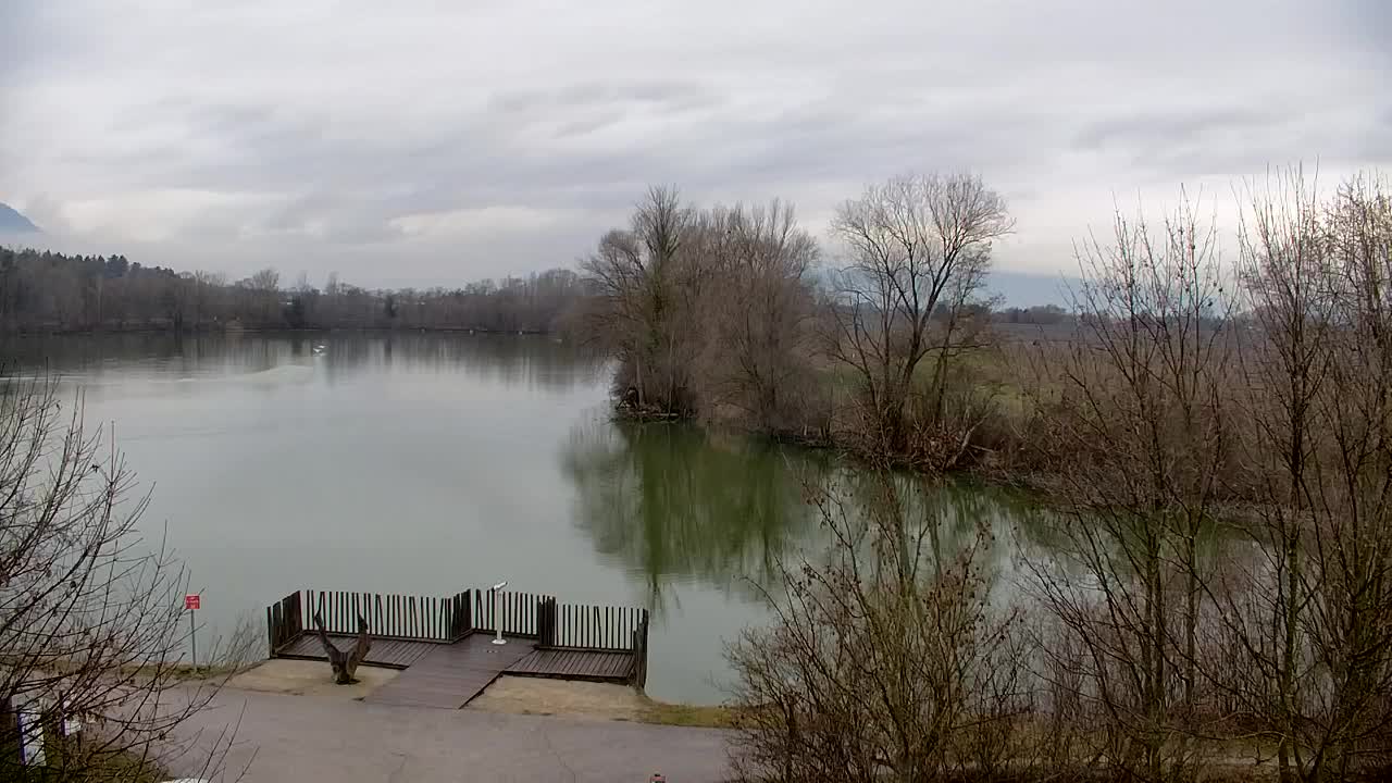 Webcam Ribnik Vrbje – Žalec