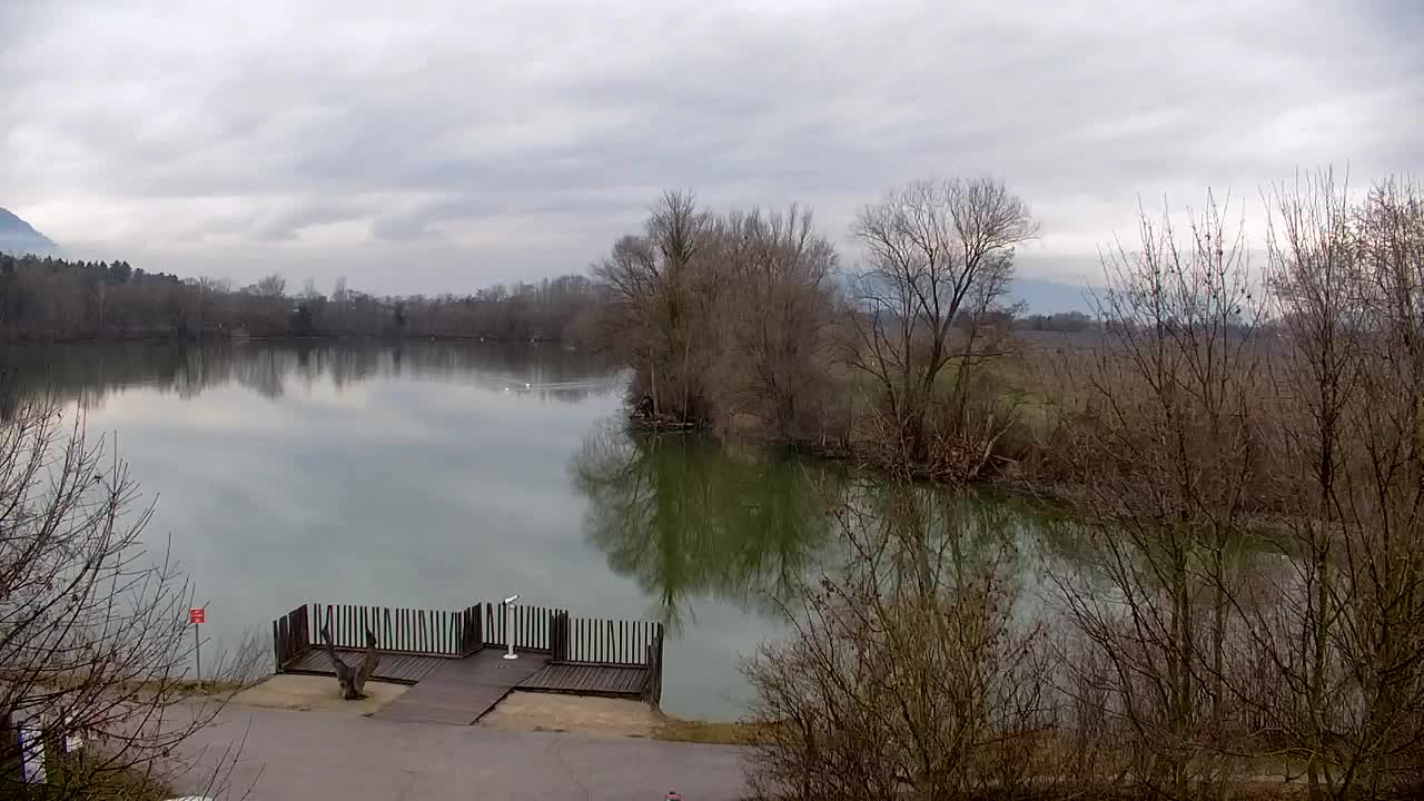 Webcam Ribnik Vrbje – Žalec