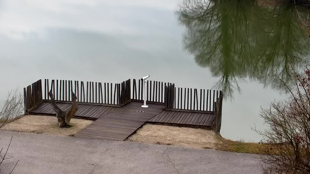 Webcam Ribnik Vrbje – Žalec