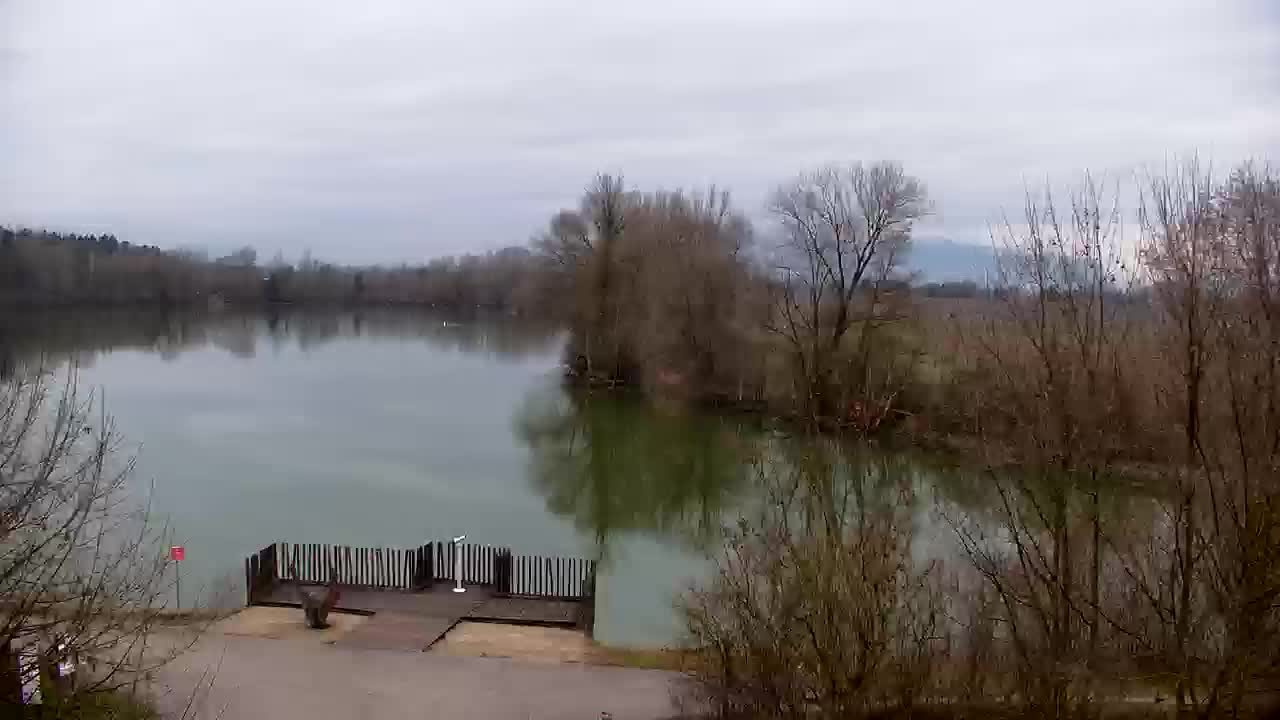 Webcam Ribnik Vrbje – Žalec