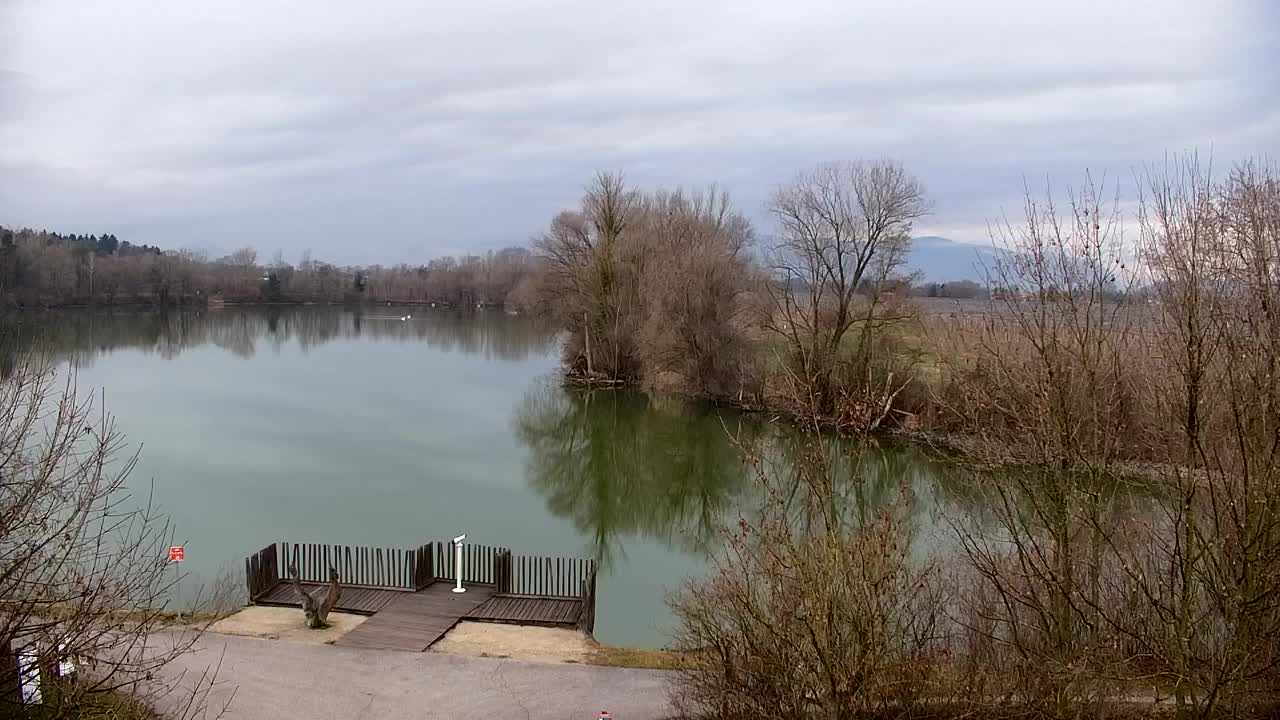 Webcam Ribnik Vrbje – Žalec