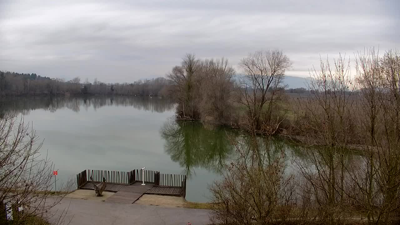 Spletna kamera Ribnik Vrbje – Žalec