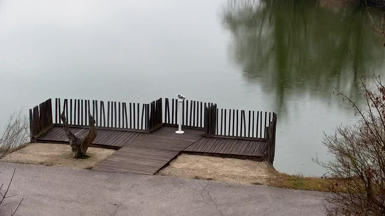 Webcam Ribnik Vrbje – Žalec