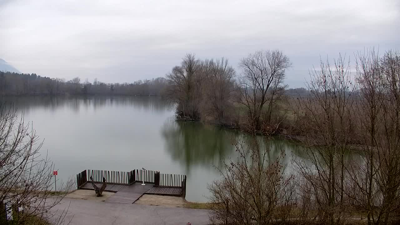 Spletna kamera Ribnik Vrbje – Žalec