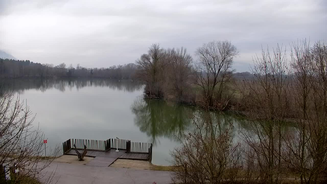 Webcam Ribnik Vrbje – Žalec