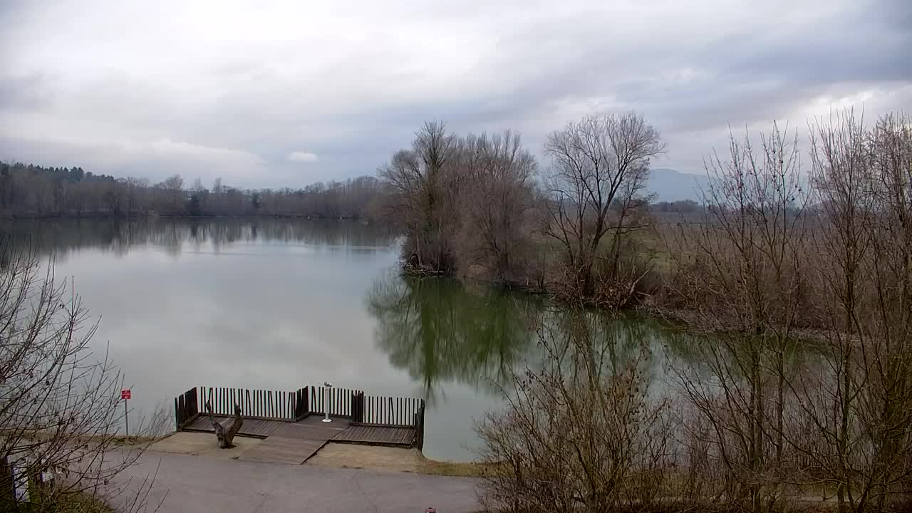 Webcam Ribnik Vrbje – Žalec