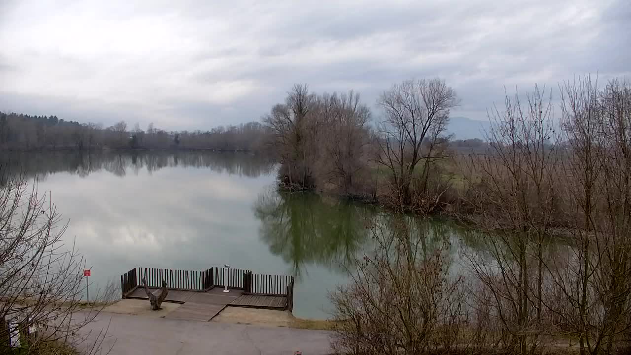 Spletna kamera Ribnik Vrbje – Žalec