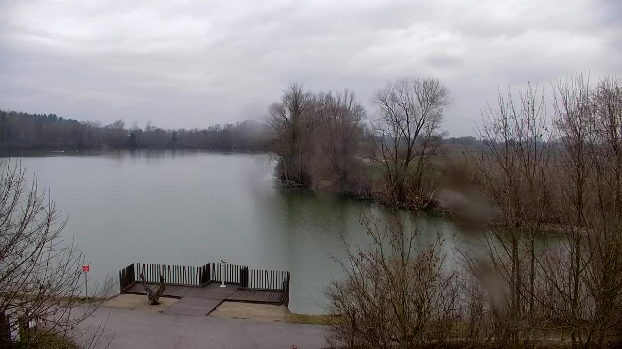 Webcam Ribnik Vrbje – Žalec