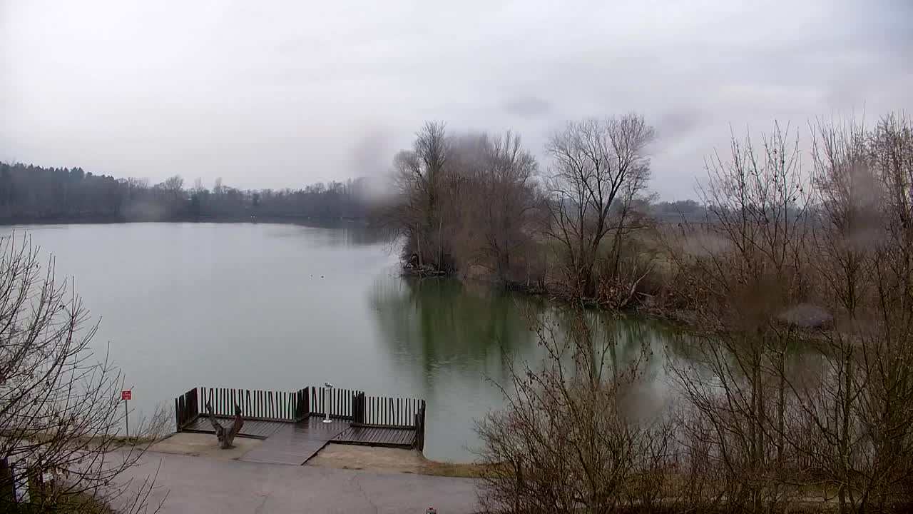 Webcam Ribnik Vrbje – Žalec