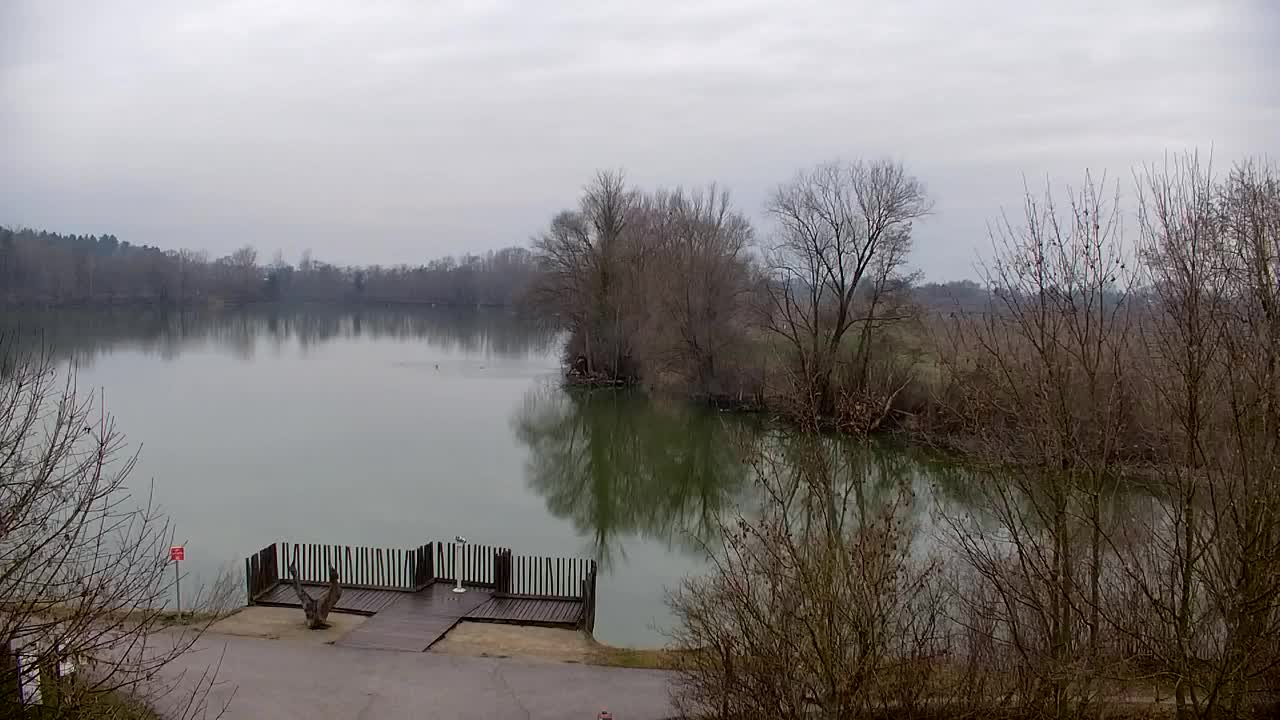 Webcam Ribnik Vrbje – Žalec