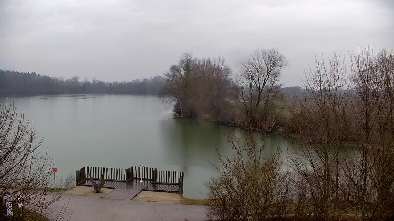 Webcam Ribnik Vrbje – Žalec