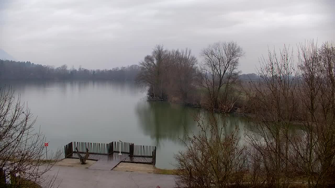 Webcam Ribnik Vrbje – Žalec