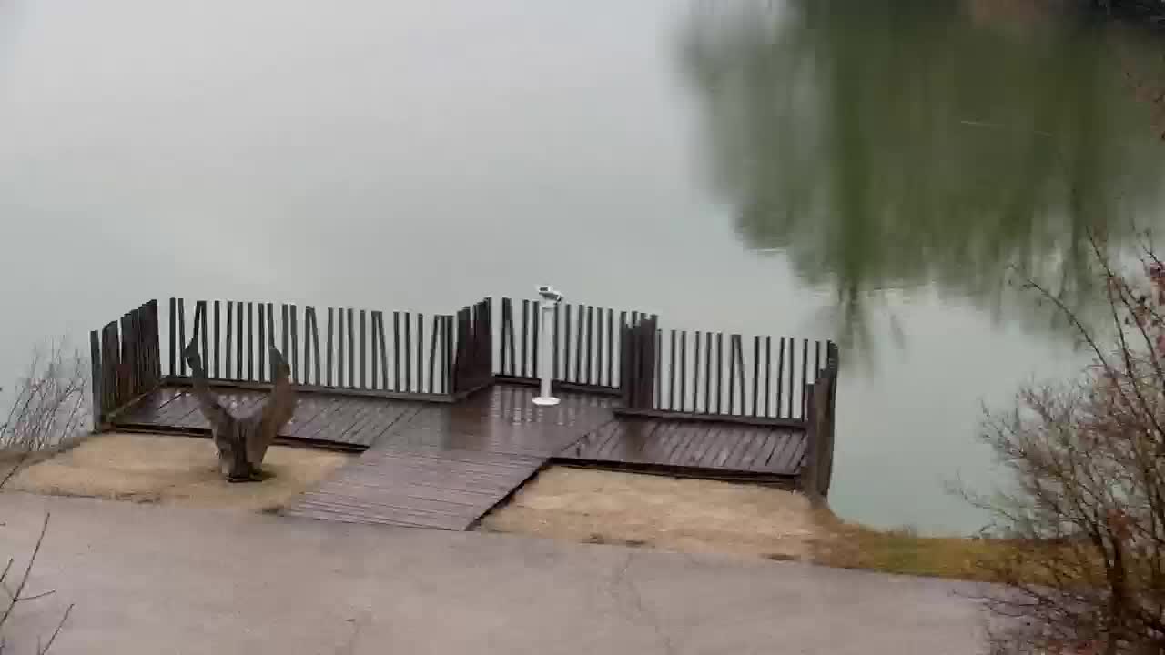 Webcam Ribnik Vrbje – Žalec