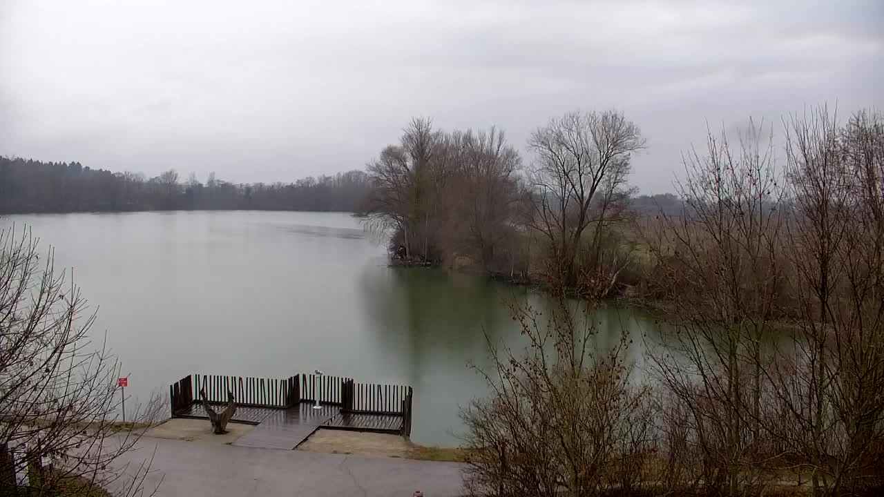 Webcam Ribnik Vrbje – Žalec