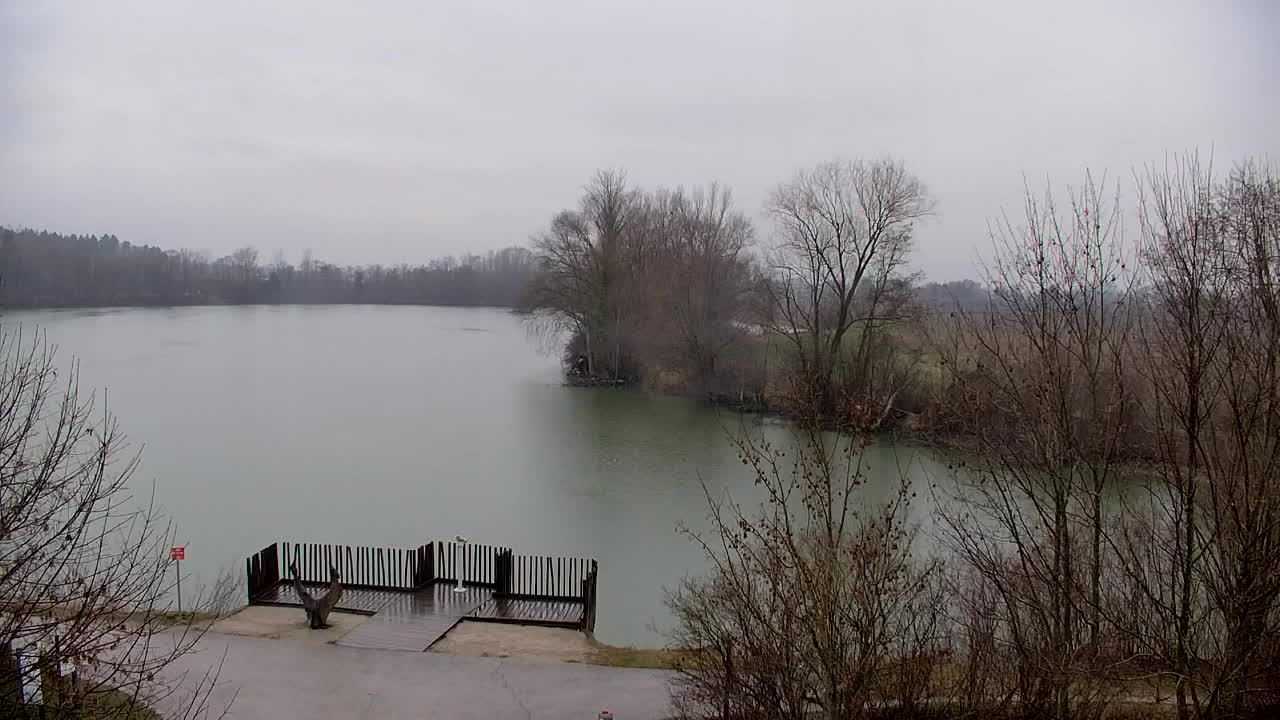 Webcam Ribnik Vrbje – Žalec