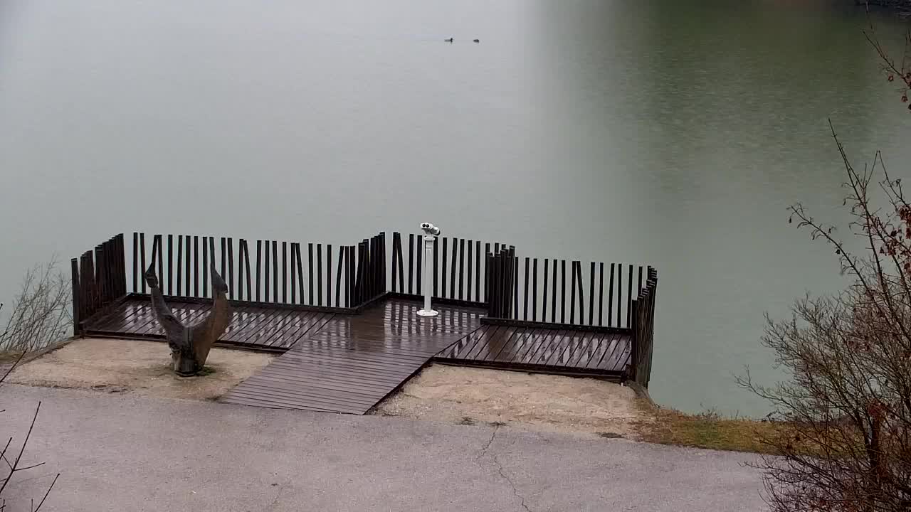 Webcam Ribnik Vrbje – Žalec