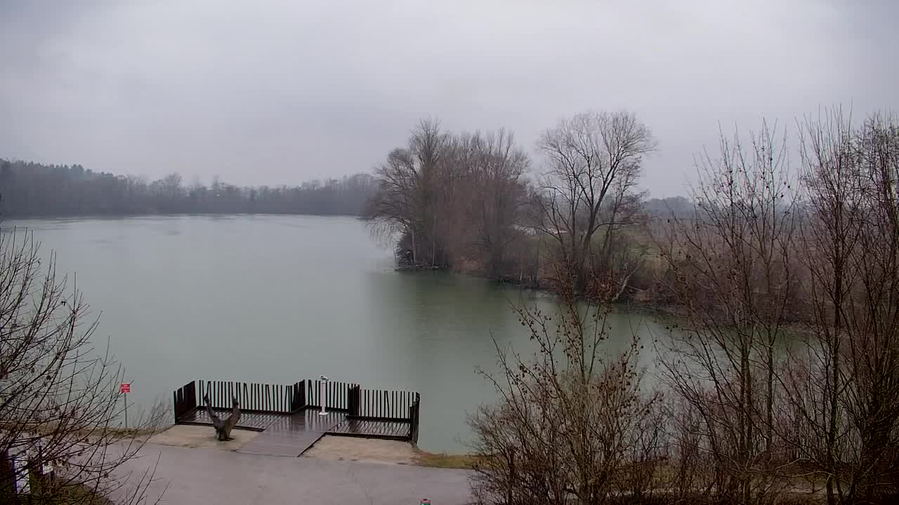 Webcam Ribnik Vrbje – Žalec