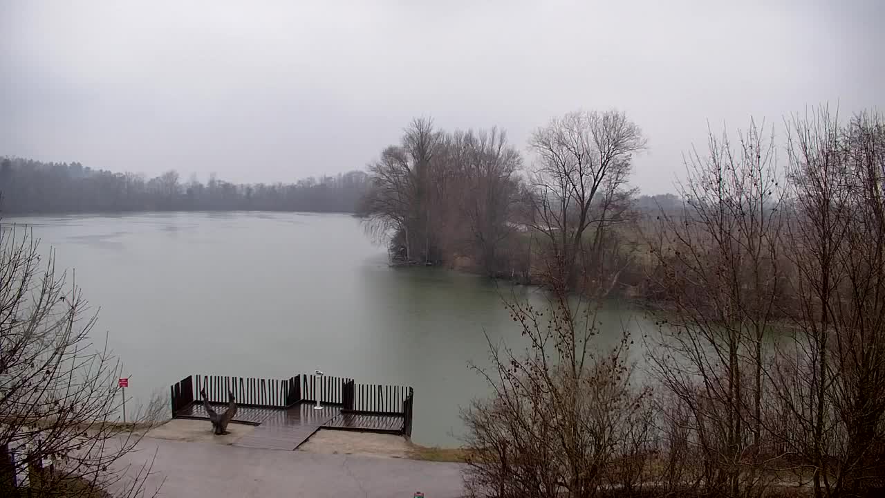 Webcam Ribnik Vrbje – Žalec